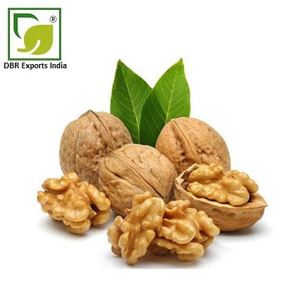 Pure Walnut Oil_Pure Juglans regia Oil by DBR Exports India