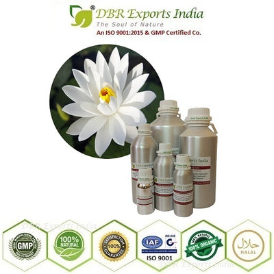 White Lotus Absolute Oil via solvent Extraction